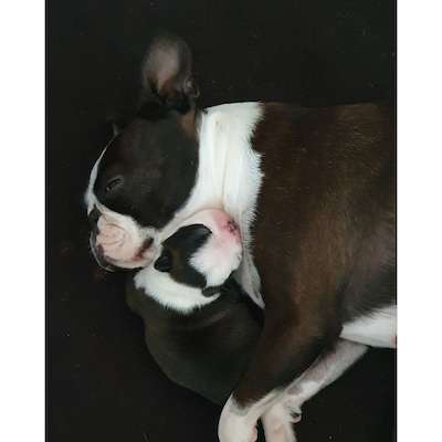 Ego's First Australian Babies Have Arrived